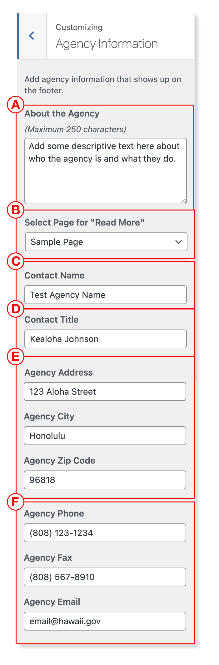 Customizer - Agency Information Settings