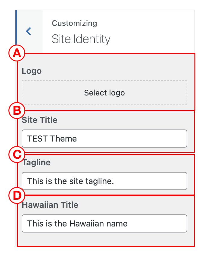 Customizer - Site Identity Settings