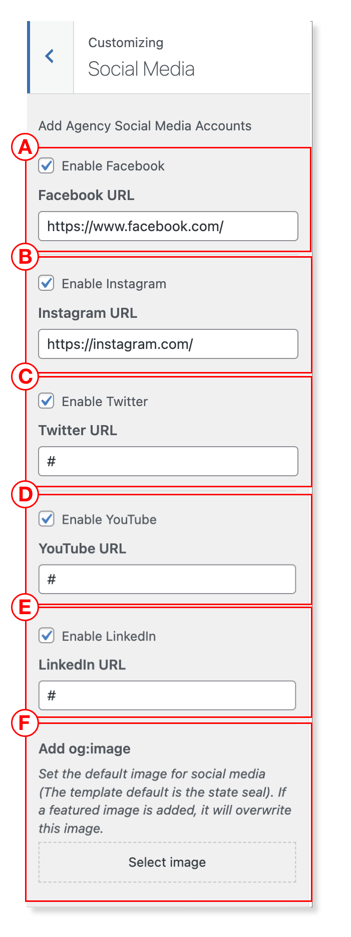 Customizer - Social Media Settings